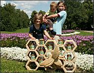 Bienenwabe13