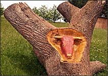 RindSchnitzfigurHG1